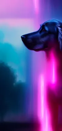 This phone live wallpaper features a furry, realistic dog standing in front of a beautifully-detailed fountain, painted in pink neon lights over a foggy neon night background