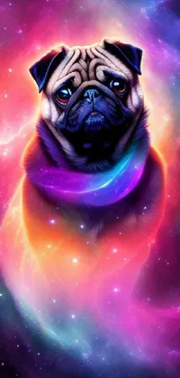 Dog Purple Pug Live Wallpaper
