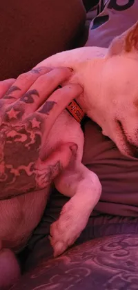 This live wallpaper for your phone features a person and a small dog cuddling on a couch