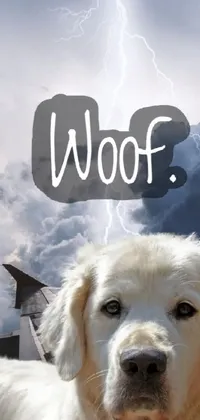 Dog Sky Cloud Live Wallpaper