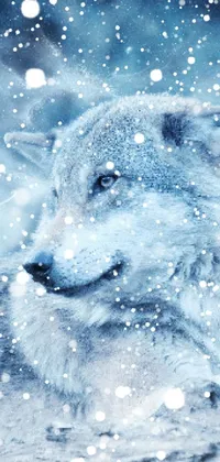Dog Snow Carnivore Live Wallpaper