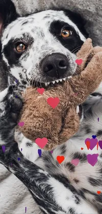 Dog Textile Collar Live Wallpaper
