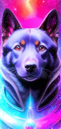 This phone live wallpaper depicts a close-up of a dog wearing a colorful galaxy-themed collar in shiny armor