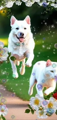 Dog White Cat Live Wallpaper