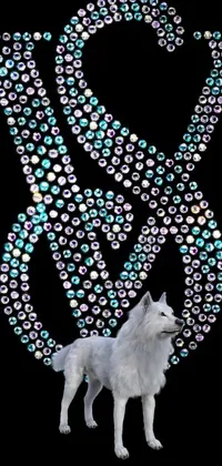 Dog White Light Live Wallpaper