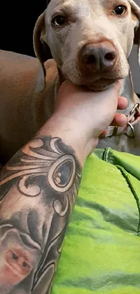 Dog Working Animal Sleeve Live Wallpaper