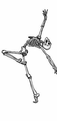 This phone live wallpaper features a playful and eye-catching illustration of a skeleton on a skateboard, with thick black lineart and beautiful bone structure