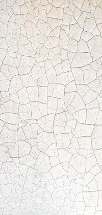 This phone's live wallpaper showcases a bold red fire hydrant sitting atop a cement mosaic floor on a pale white reptile skin background