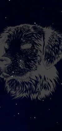 This stunning phone live wallpaper features beautiful vector art of a black and white dog against a star-filled space background