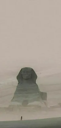This phone live wallpaper features a mesmerizing foggy field with a giant sphinx statue in the background and a solitary person strolling along