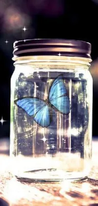 This phone live wallpaper features a beautifully designed glass jar with a captivating butterfly inside