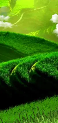 Ecoregion Green People In Nature Live Wallpaper