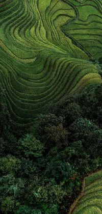 naterial Live Wallpaper