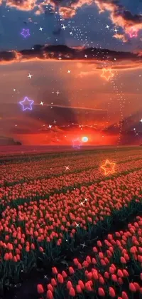 This stunning live wallpaper for your phone features a digital art rendering of a beautiful field of tulips against a sunset backdrop