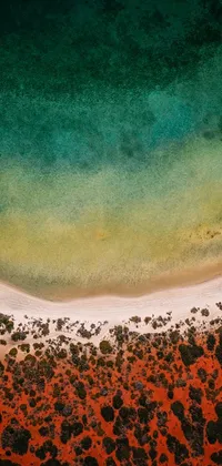 This phone live wallpaper depicts a bird's-eye view of a sandy beach with vivid colors of red and green