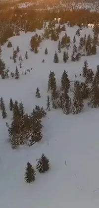 Transform your phone with this stunning live wallpaper featuring a skier on a snow-covered slope