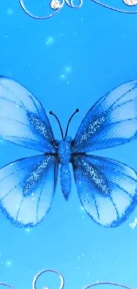 Electric Blue Arthropod Butterfly Live Wallpaper