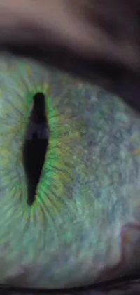 This captivating live wallpaper brings a close-up view of a cat's eye to your phone screen