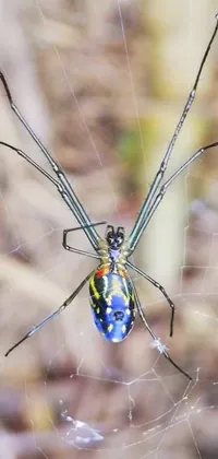 Electric Blue Arthropod Insect Live Wallpaper