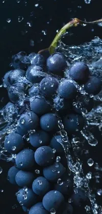 Electric Blue Food Berry Live Wallpaper