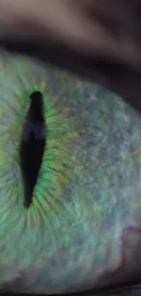 This phone live wallpaper features a mesmerizing close-up of a cat's eye iris