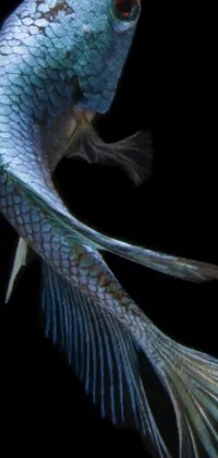 Electric Blue Underwater Terrestrial Animal Live Wallpaper