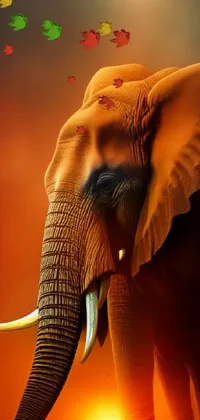 This stunning live wallpaper showcases a detailed digital rendering of an elephant set against a beautiful sunset background
