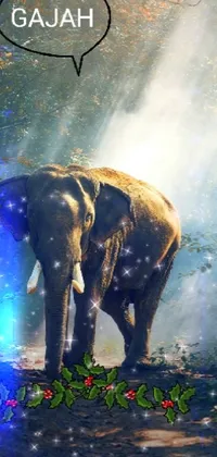 Elephant Light World Live Wallpaper