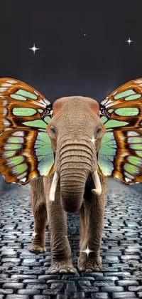 Elephant Nature Organism Live Wallpaper