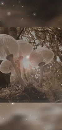 This phone live wallpaper depicts a charming digital art scene of two mushrooms on a mound of dirt