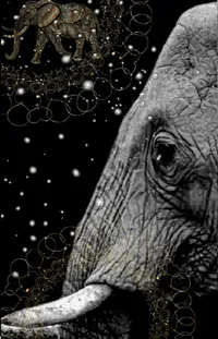 Elephant Photograph Black Live Wallpaper
