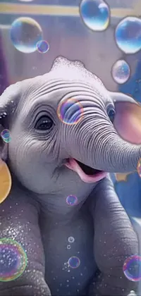 cute baby elephant wallpaper