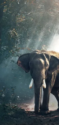 Elephant Water Plant Live Wallpaper