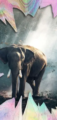 Elephant World Organism Live Wallpaper