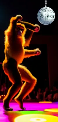 monkey dancing Live Wallpaper