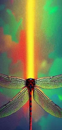 Eye Arthropod Insect Live Wallpaper