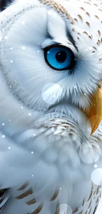 Eye Bird White Live Wallpaper