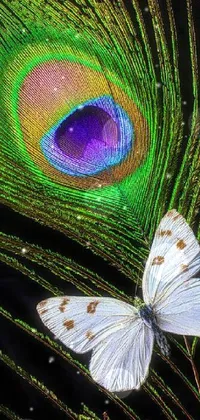 Eye Butterfly Pollinator Live Wallpaper