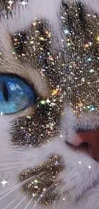 Eye Cat Eyelash Live Wallpaper