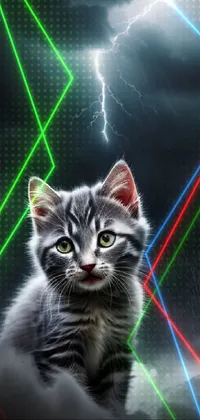 Eye Cat Light Live Wallpaper