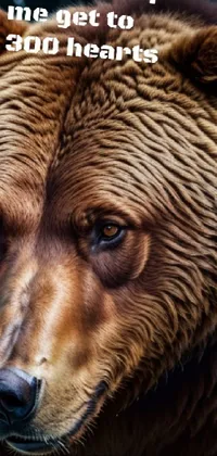 Eye Dog Breed Carnivore Live Wallpaper