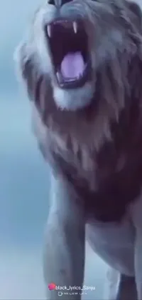 Eye Dog Breed Jaw Live Wallpaper