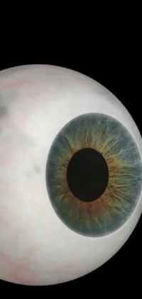Eye Eyelash Human Body Live Wallpaper
