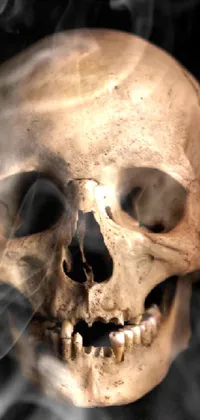 Experience a haunting and stylish live wallpaper with this close-up portrait of a human skull