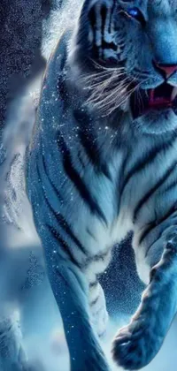 white tiger animal wallpaper