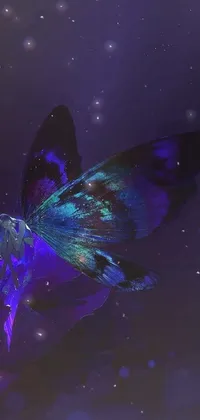 This phone live wallpaper depicts a stunning butterfly perched on top of a vibrant purple flower set against a dark blue and bioluminescent background