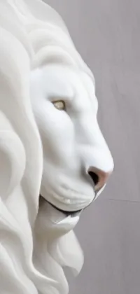This phone live wallpaper boasts a stunning white lion head sculpture mounted to a wall