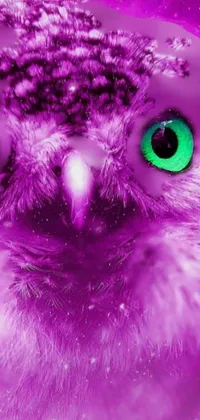 Eye Purple Petal Live Wallpaper
