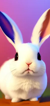 Eye Rabbit Ear Live Wallpaper