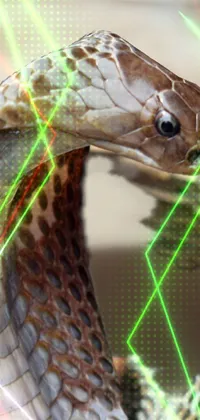 Get ready to be entranced by this stunning phone live wallpaper featuring a cobra snake in a basket